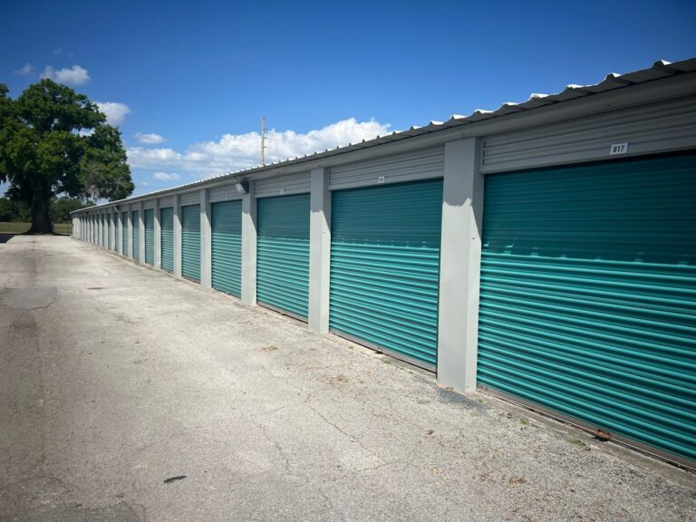 Alpine West Group Self Storage Facility - Kissimmee, FL
Paradise Storage